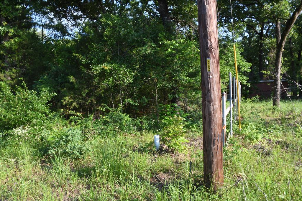 114 Navarro Drive Property Photo 8