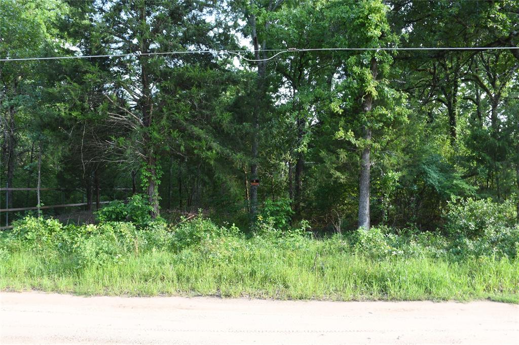 114 Navarro Drive Property Photo 16