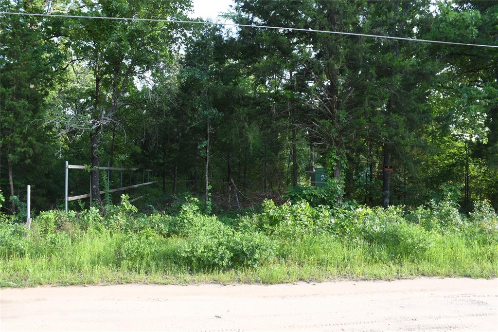 114 Navarro Drive Property Photo 18