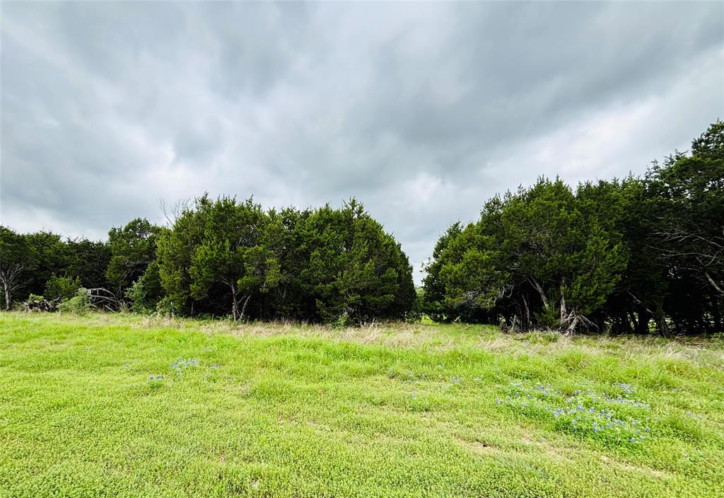 8504 Dornoch Street Property Photo 1