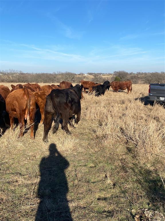 10.5 Acres Ohanlon Road Property Photo 3