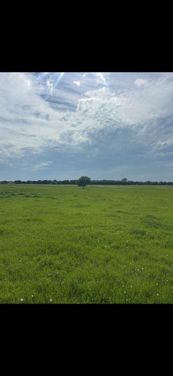 10.5 Acres Ohanlon Road Property Photo 4
