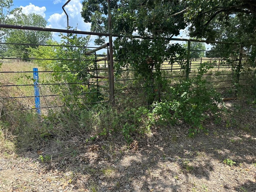 0 Smith Road Property Photo 3