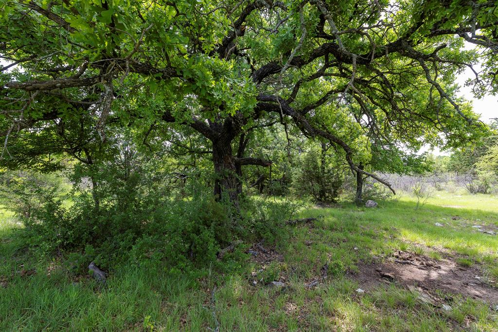 525 Jack Rabbit Circle Property Photo 2