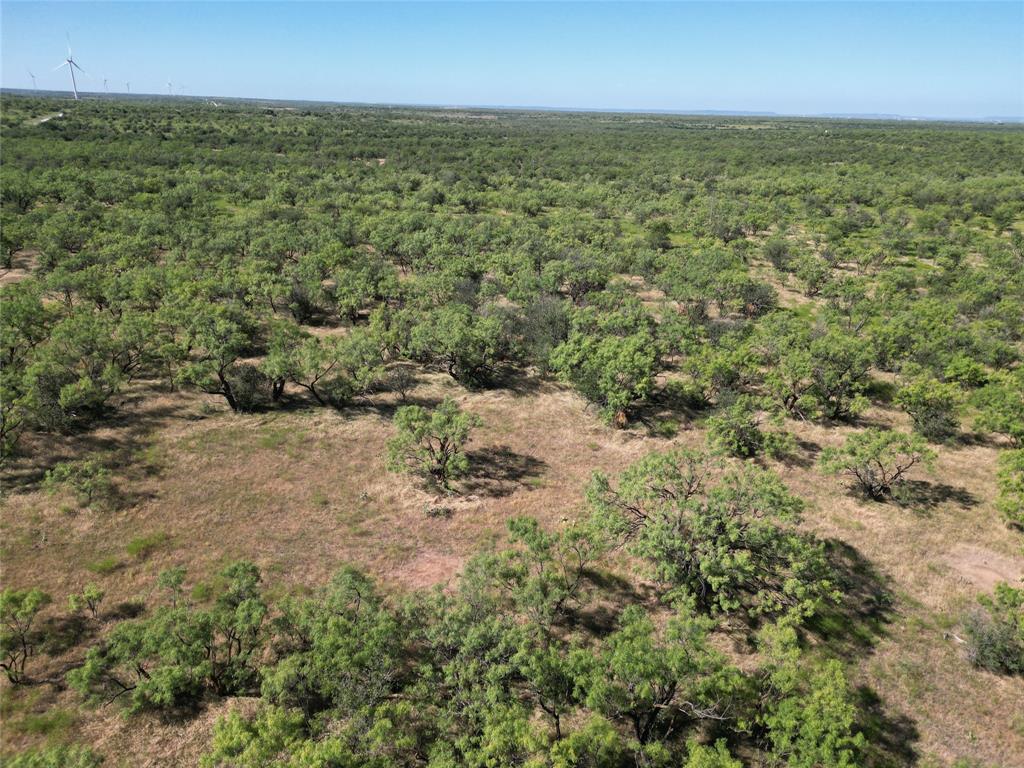 Tbd Highway 206 Property Photo 5