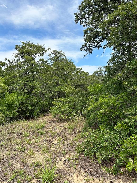 Tbd Highway 206 Property Photo 6