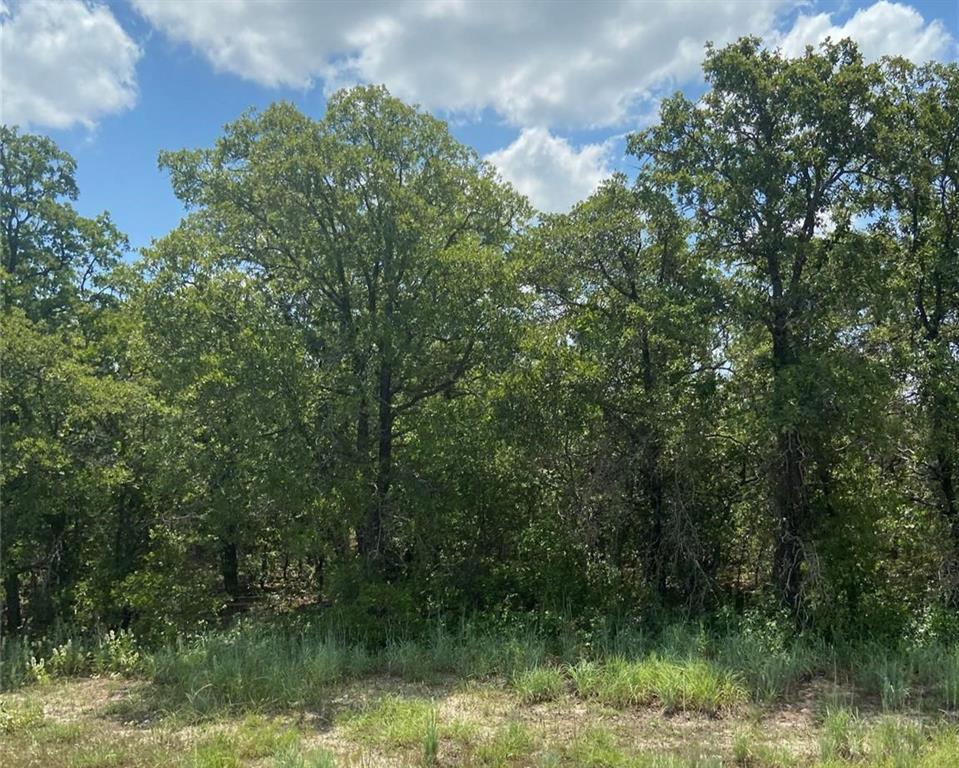 Tbd Highway 206 Property Photo 7