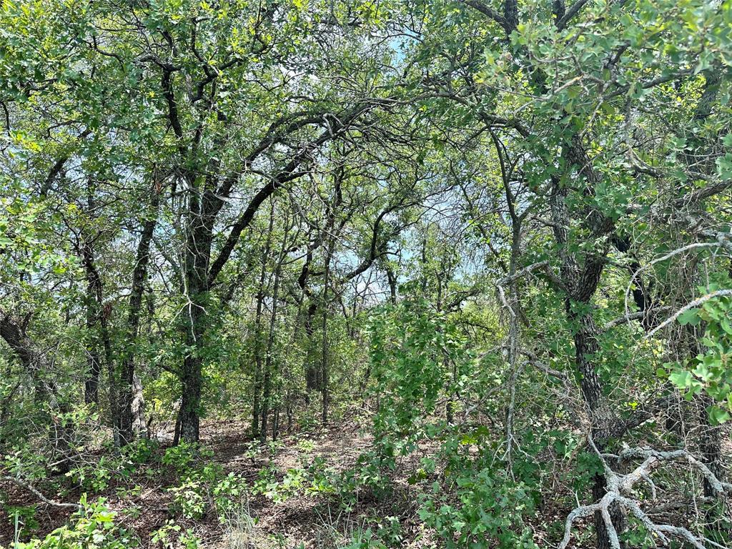 Tbd Highway 206 Property Photo 13