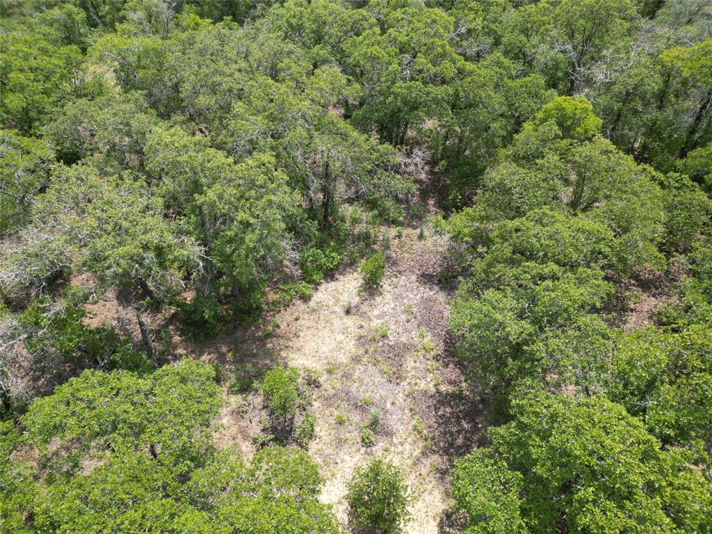 Tbd Highway 206 Property Photo 15