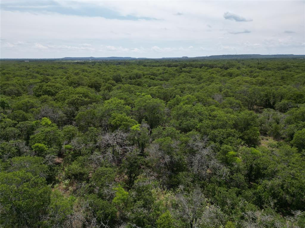 Tbd Highway 206 Property Photo 16