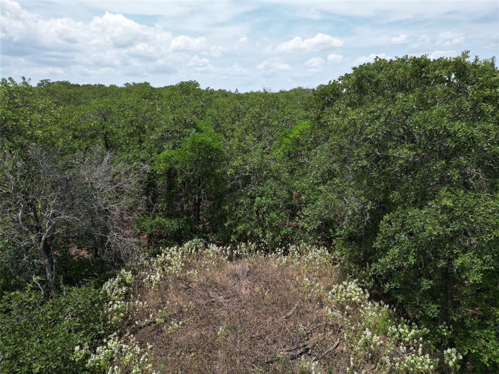 Tbd Highway 206 Property Photo 17