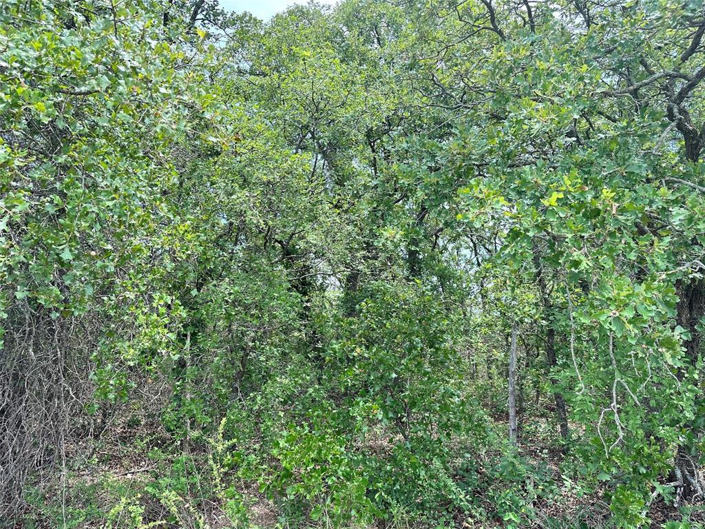 Tbd Highway 206 Property Photo 19
