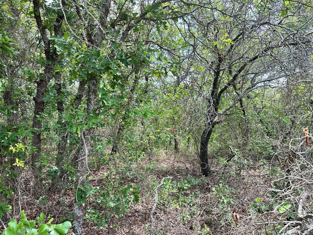Tbd Highway 206 Property Photo 20