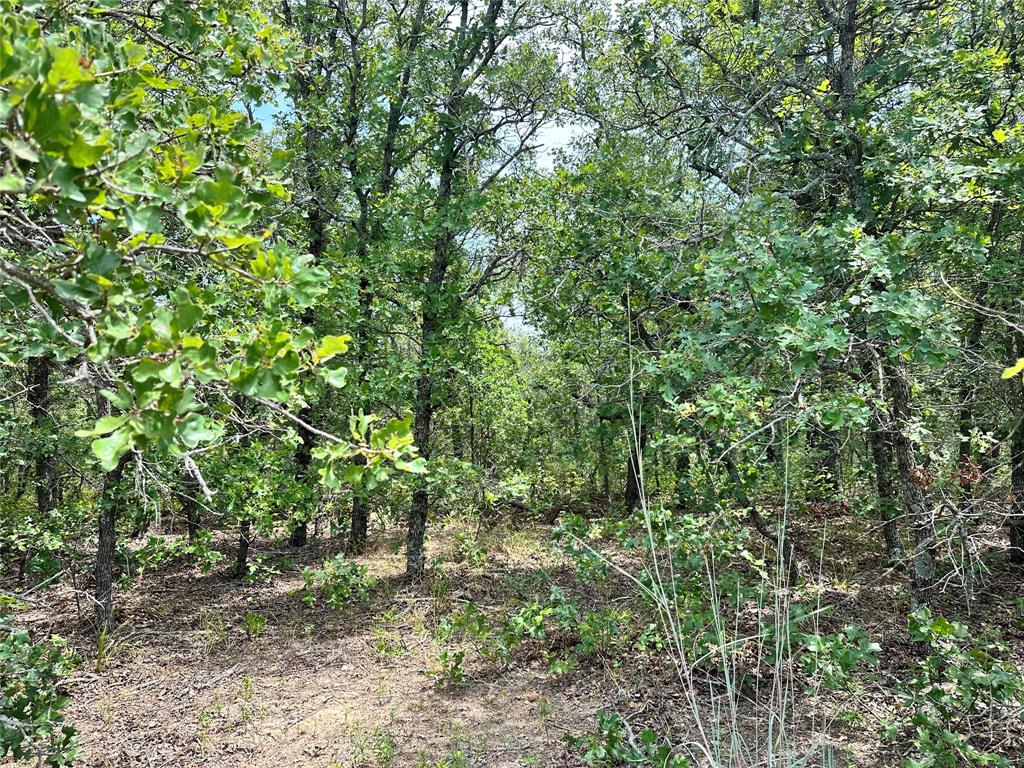 Tbd Highway 206 Property Photo 21