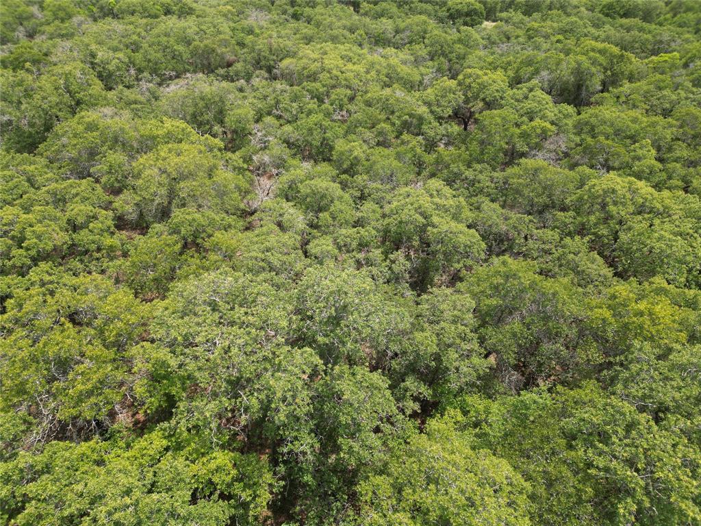 Tbd Highway 206 Property Photo 22