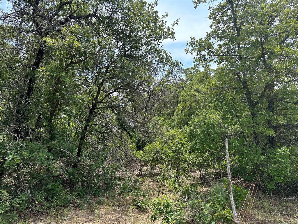 Tbd Highway 206 Property Photo 23