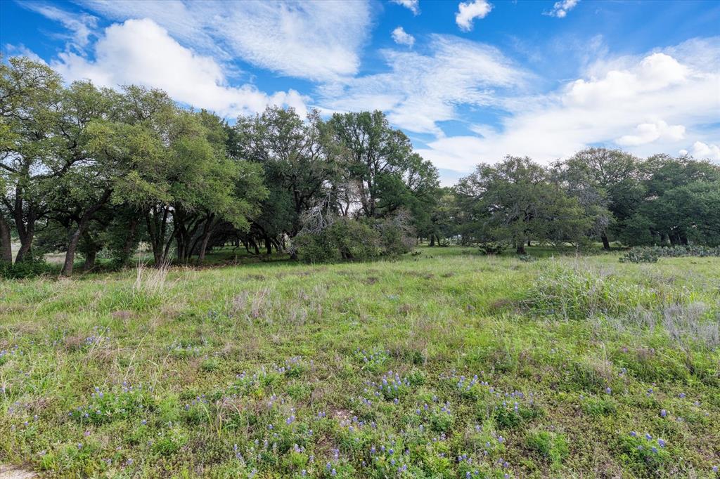 254 Guadalupe Drive Property Photo 3