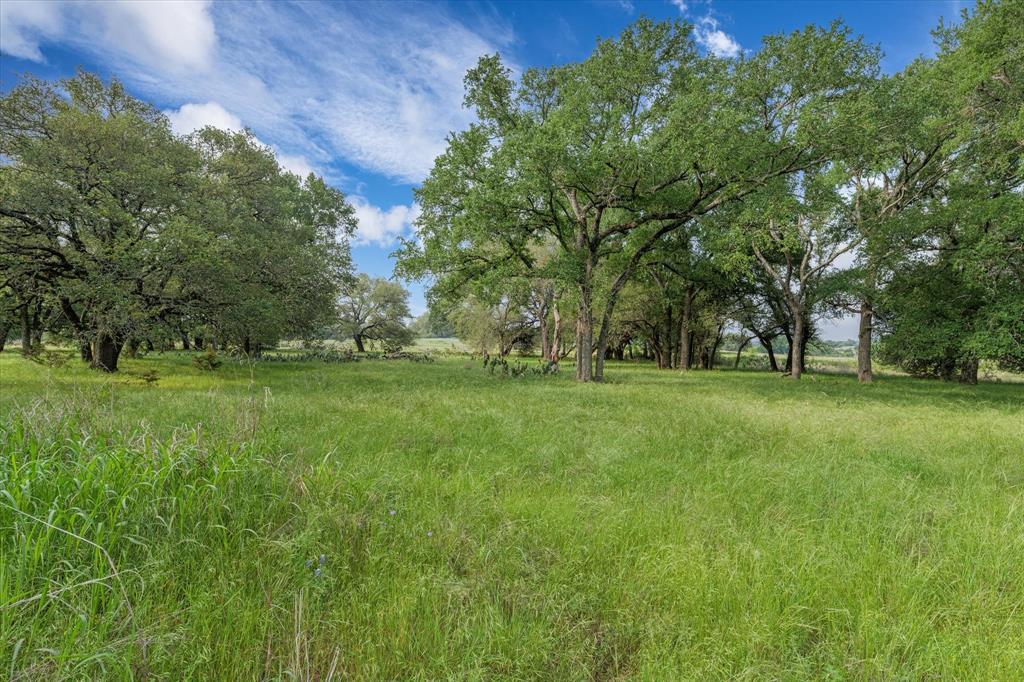 254 Guadalupe Drive Property Photo 8