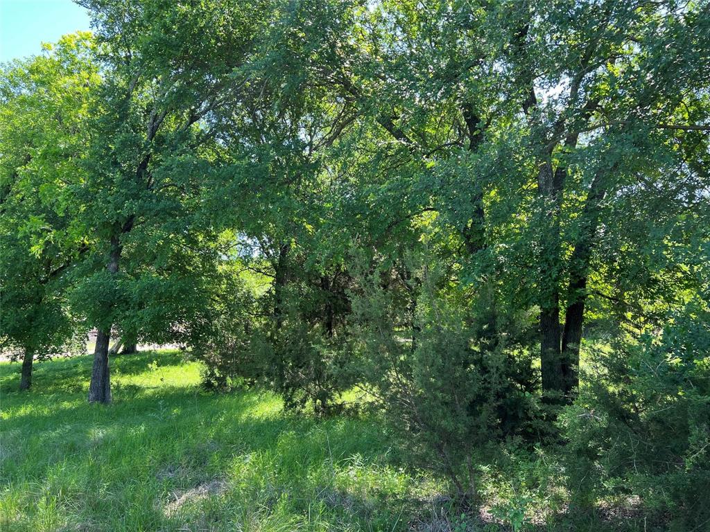 26820 Us Highway 377 Property Photo 33