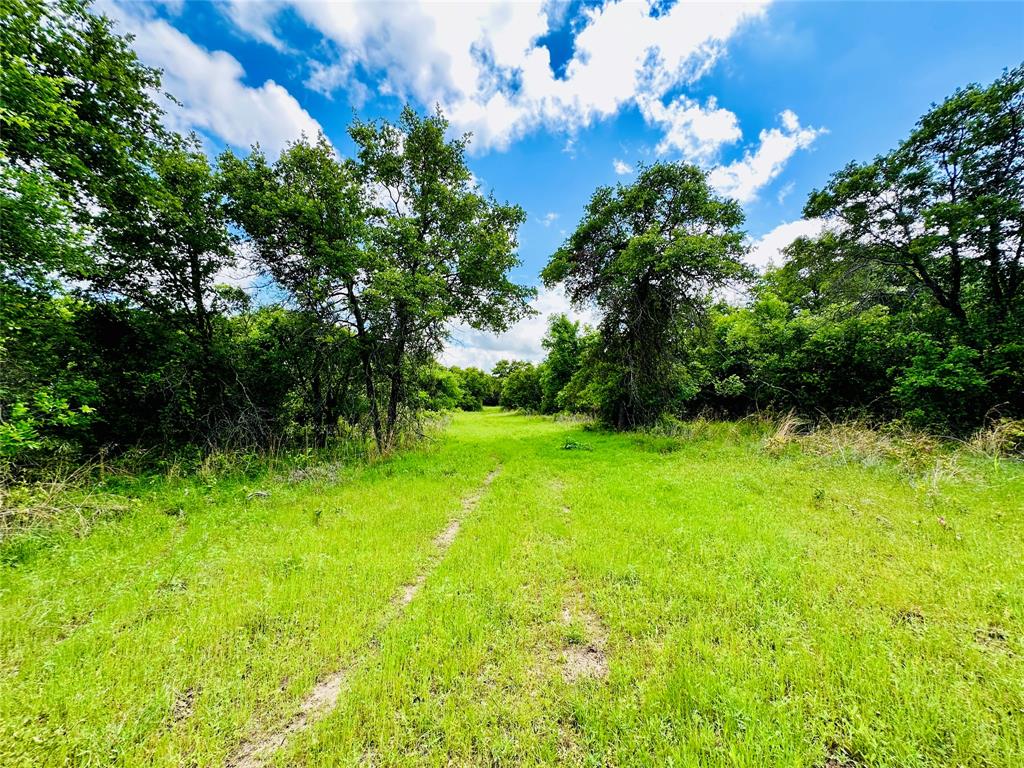251 County Road 225 Property Photo 37
