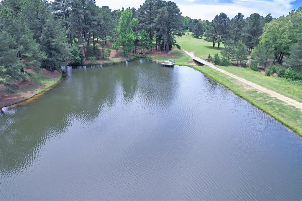 4413 Fm 16 Property Photo 19
