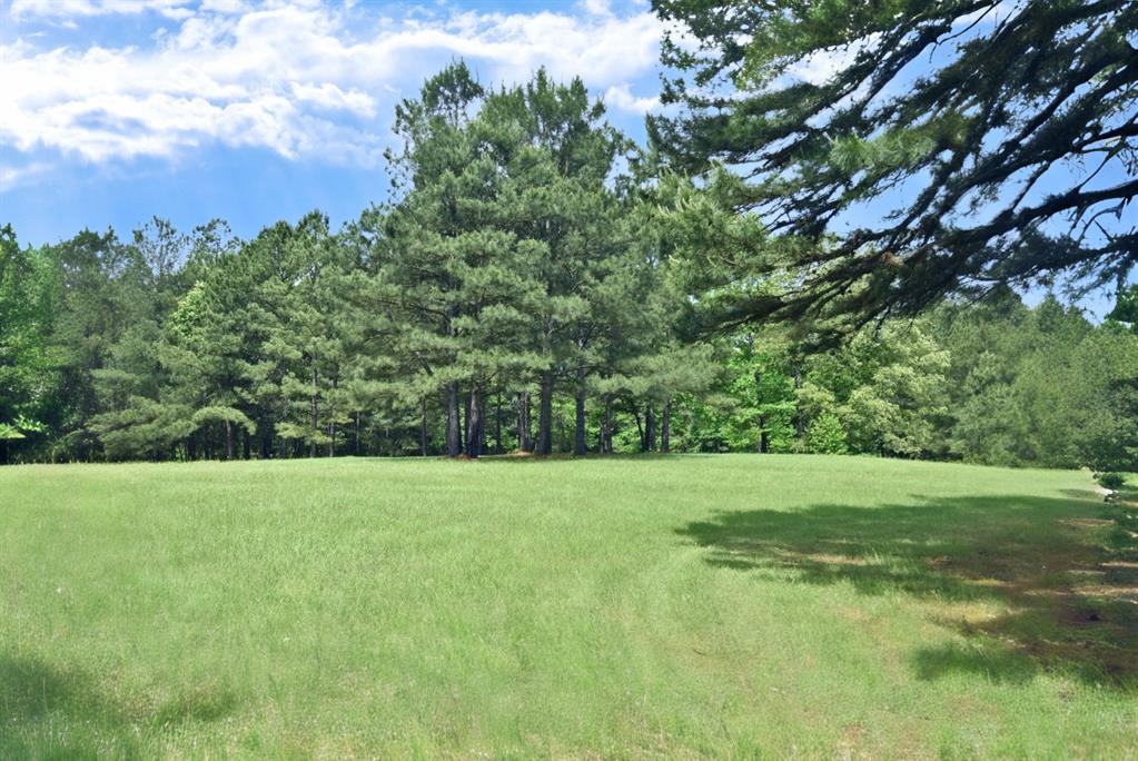 4413 Fm 16 Property Photo 21