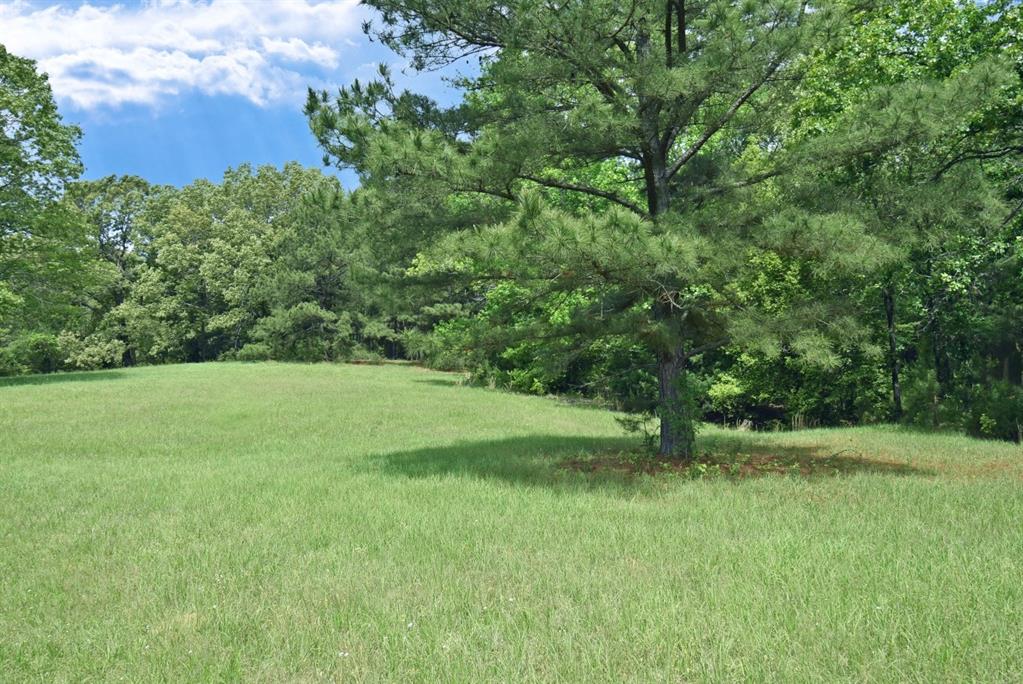 4413 Fm 16 Property Photo 22
