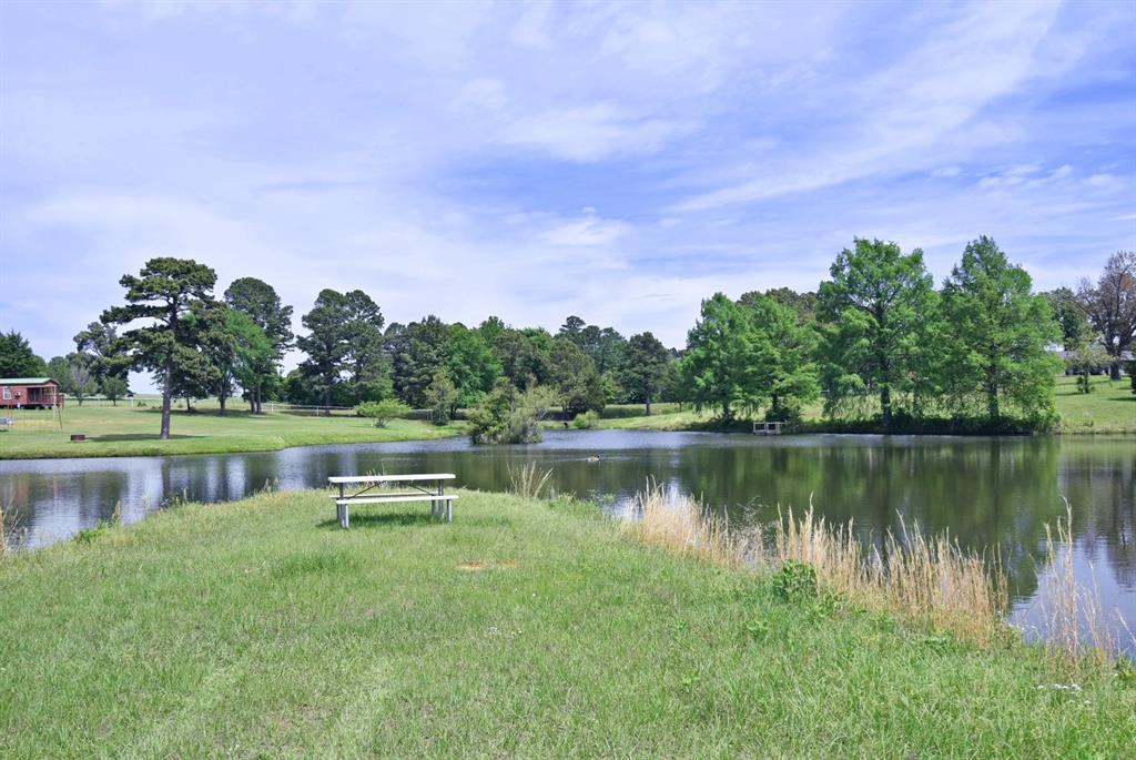 4413 Fm 16 Property Photo 23