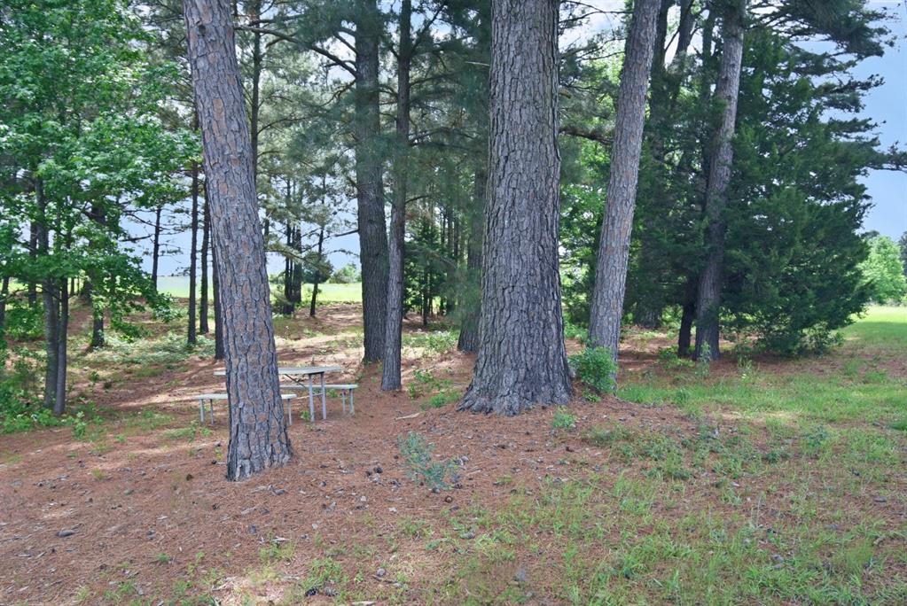4413 Fm 16 Property Photo 24