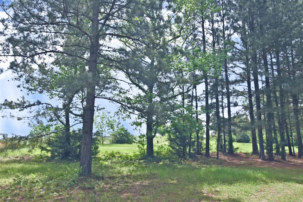 4413 Fm 16 Property Photo 25