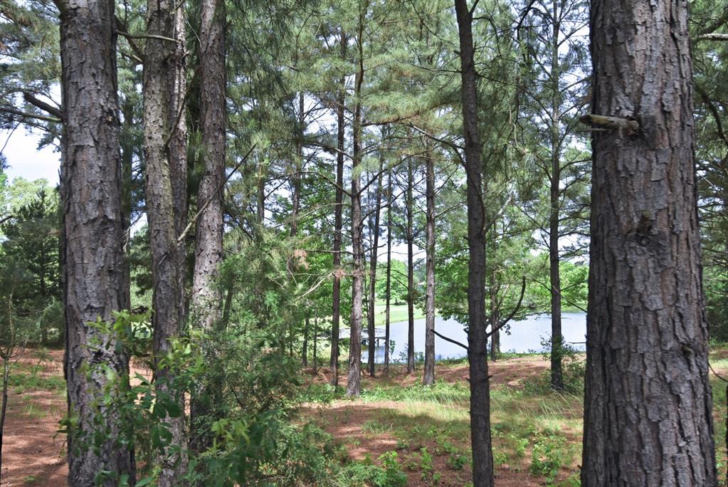 4413 Fm 16 Property Photo 26