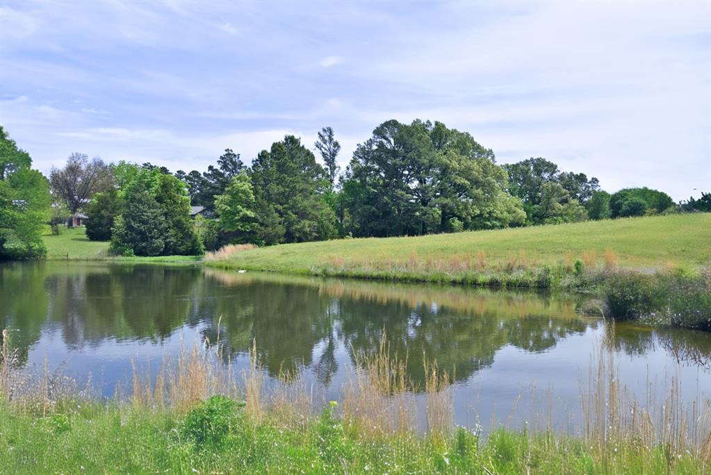 4413 Fm 16 Property Photo 28