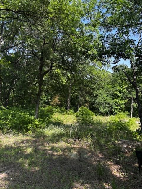 1255 Eagles Bluff Drive Property Photo 1