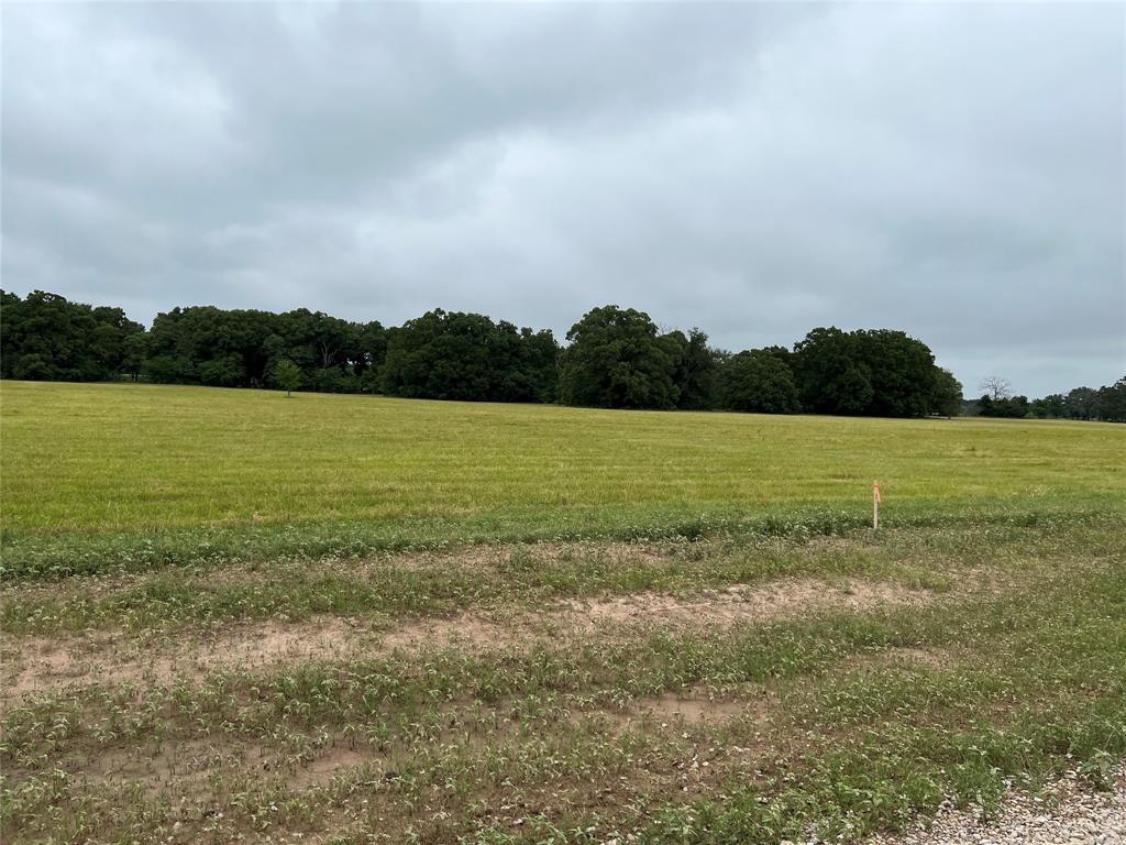 9459 Private Road 6907 Property Photo 3