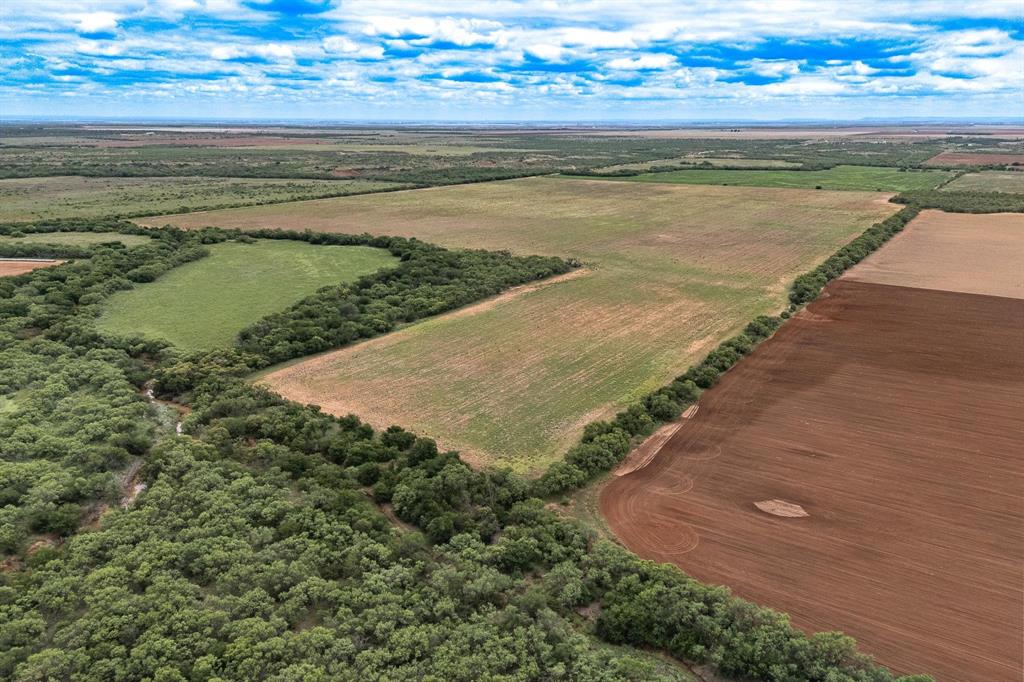 Tbd Cr 429 Property Photo 4
