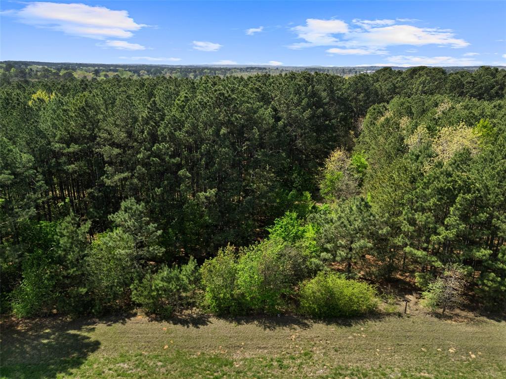 3327 Fm 2751 Property Photo 4