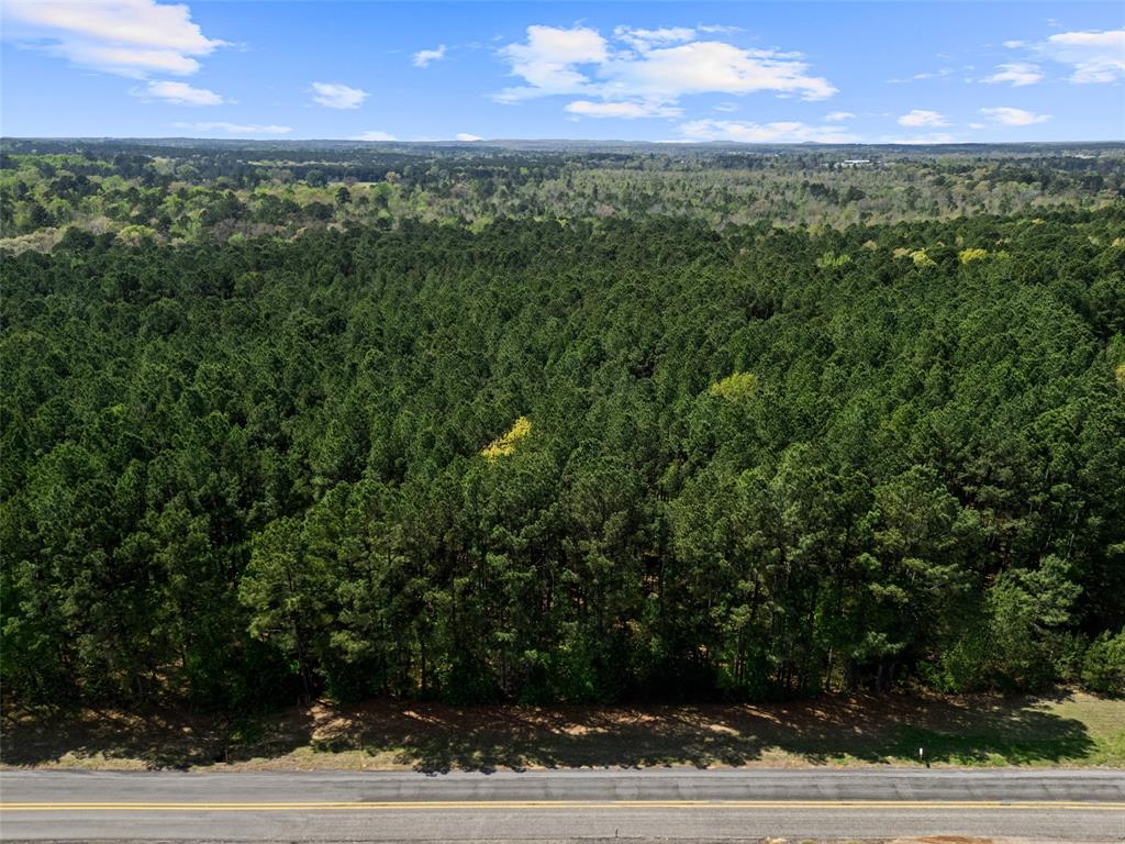3327 Fm 2751 Property Photo 7