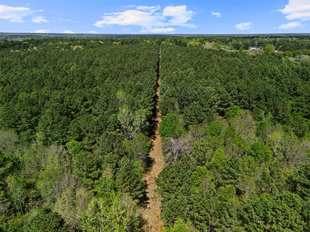3327 Fm 2751 Property Photo 11