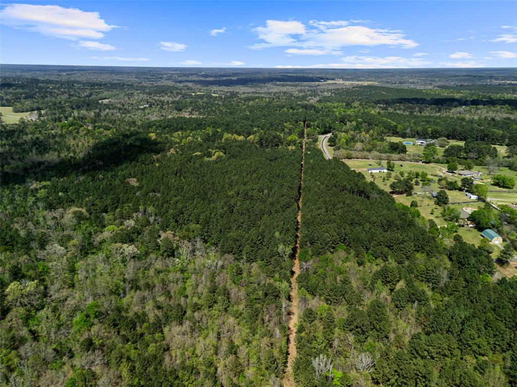 3327 Fm 2751 Property Photo 12