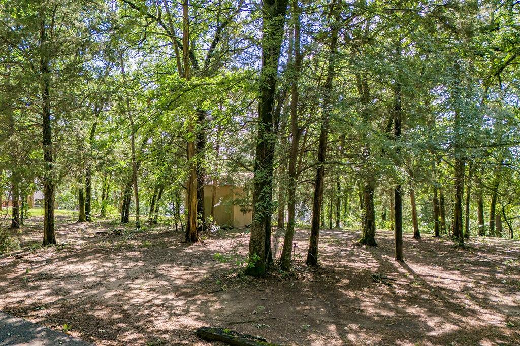 784 Camp Cypress Trail Property Photo 5
