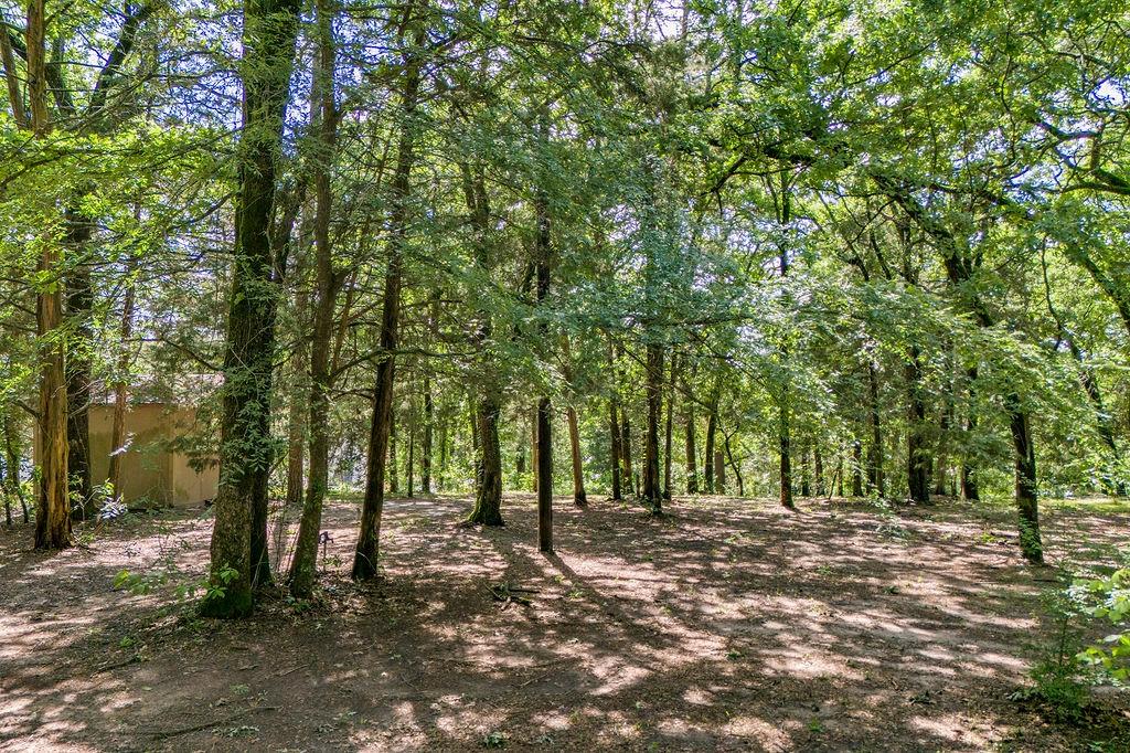 784 Camp Cypress Trail Property Photo 6