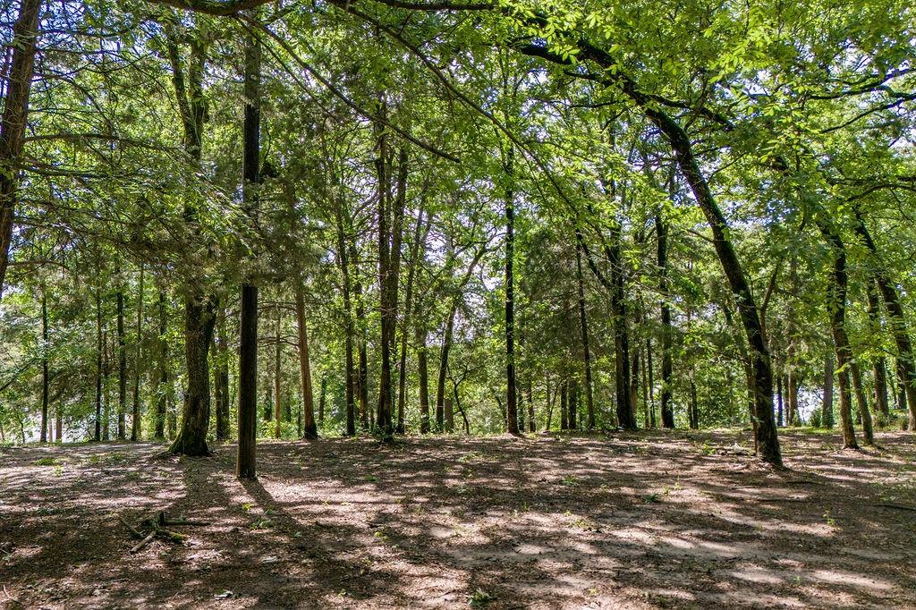784 Camp Cypress Trail Property Photo 7