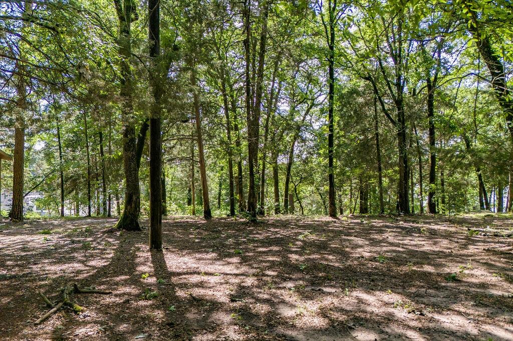 784 Camp Cypress Trail Property Photo 9