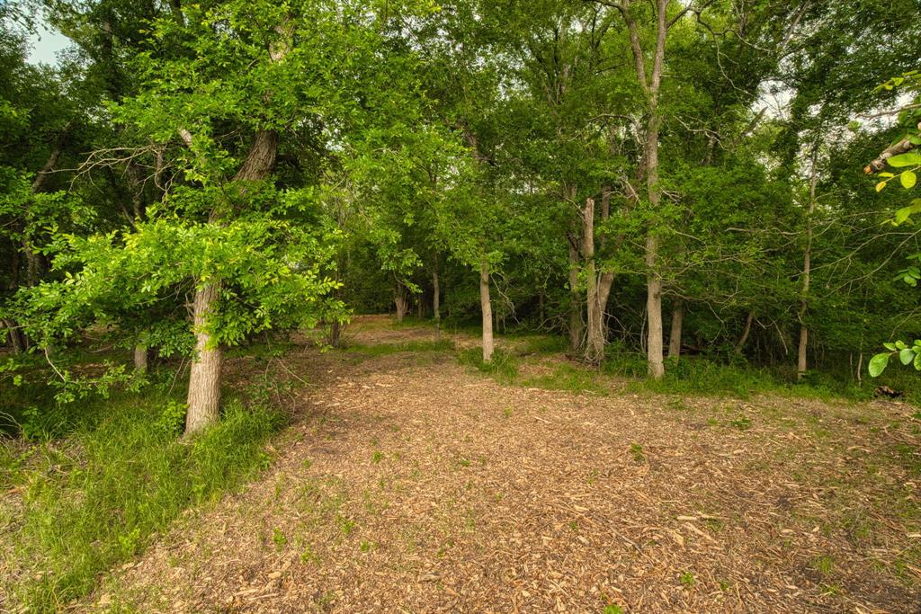 Tract 2 Cr 433 Property Photo 6