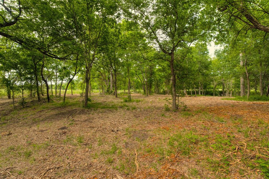 Tract 2 Cr 433 Property Photo 7