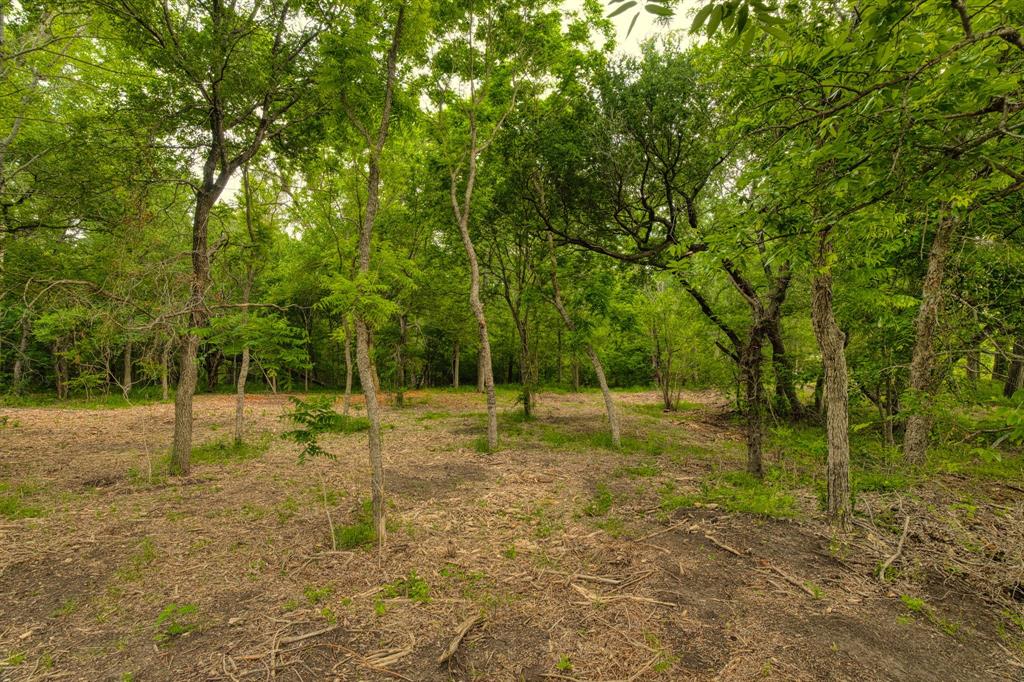 Tract 2 Cr 433 Property Photo 9