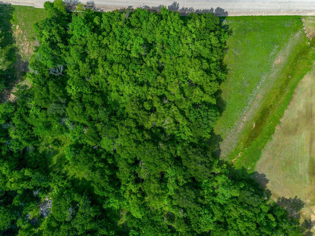 1193 S Brazos Avenue Property Photo 2
