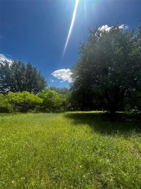 Tbd Private Road 190 Property Photo 6