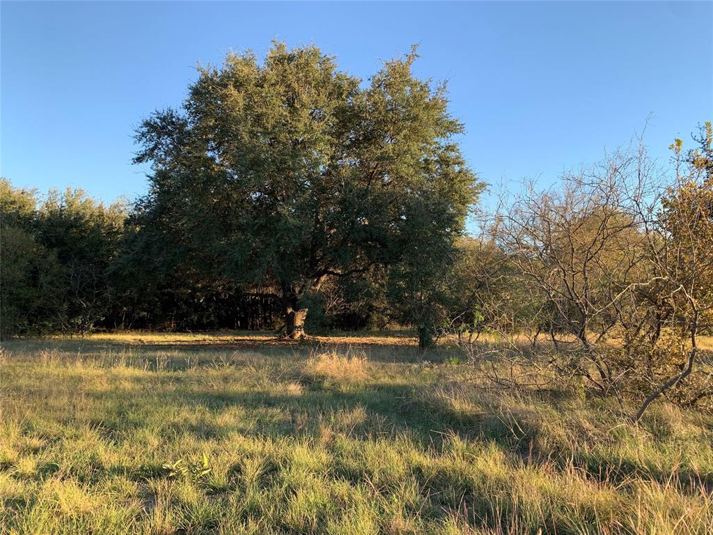 Tbd Private Road 190 Property Photo 10