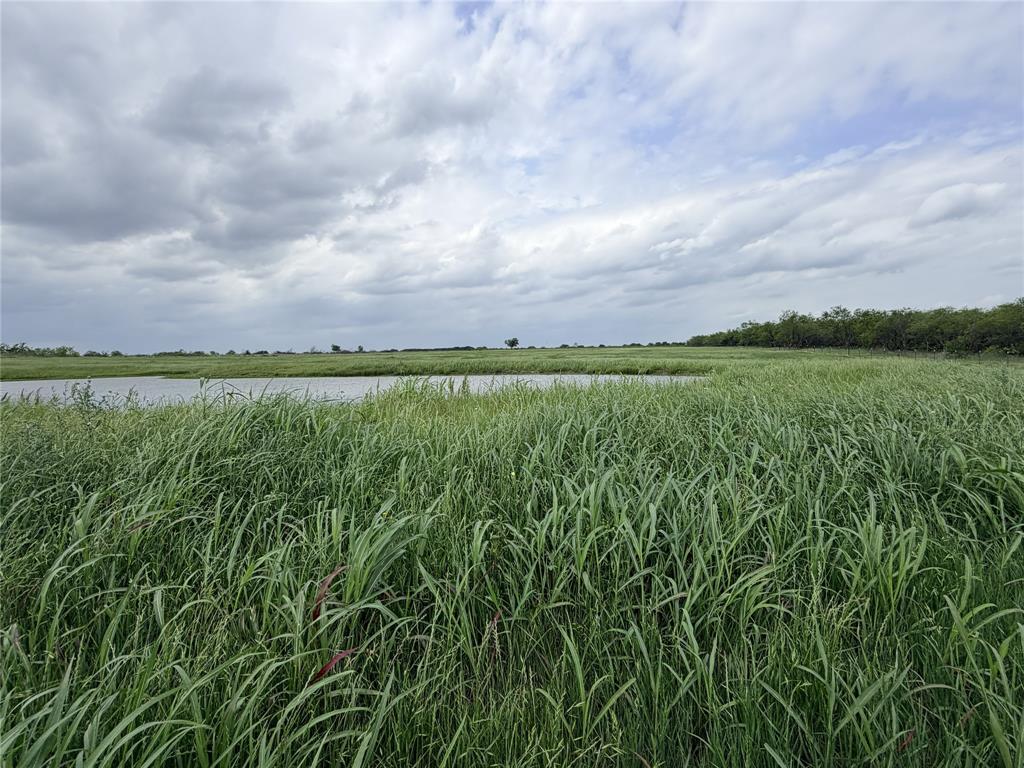 192 Fm 1183 Property Photo 13